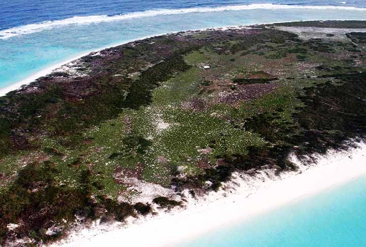 Estas formações corais, circulares ou ovaladas são ecossistemas vibrantes, que abrigam uma diversidade de vida marinha que muitas vezes não pode ser encontrada em nenhum outro lugar. 