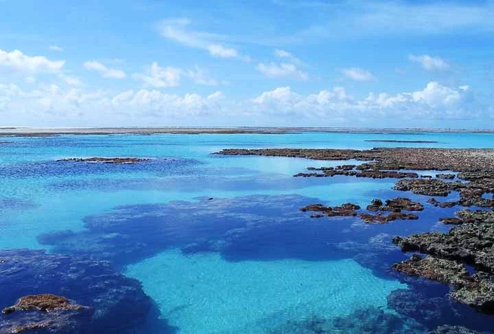 Engana-se quem acha que o Brasil não possui atóis. Único atol do Atlântico Sul e situado a cerca de 260 quilômetros da costa do Rio Grande do Norte, o Rocas é um refúgio biológico.