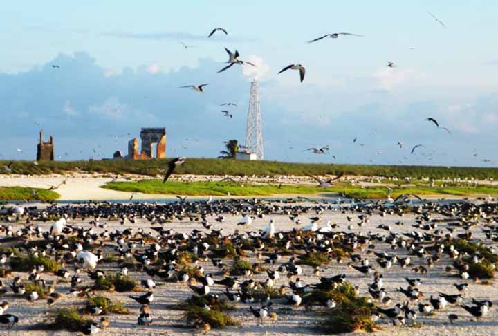 Este patrimônio natural, declarado Reserva da Biosfera pela UNESCO, é crucial para a pesquisa científica e a conservação da biodiversidade marinha.