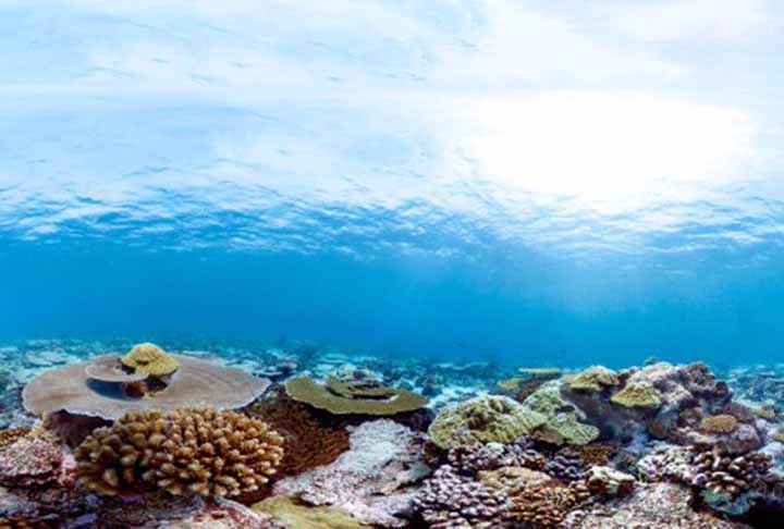 Além da beleza, os atóis são vitais para a saúde dos oceanos do mundo, abrigando uma diversidade de vida crucial para o equilíbrio ecológico. O foco é proteger e respeitar estes ecossistemas frágeis e passar esse ensinamento a habitantes e visitantes.