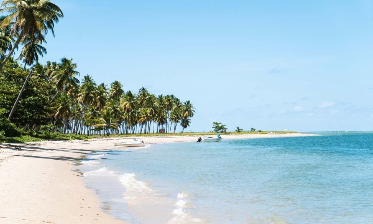 Praia de Carneiros, Pernambuco -  (crédito: Unsplash)