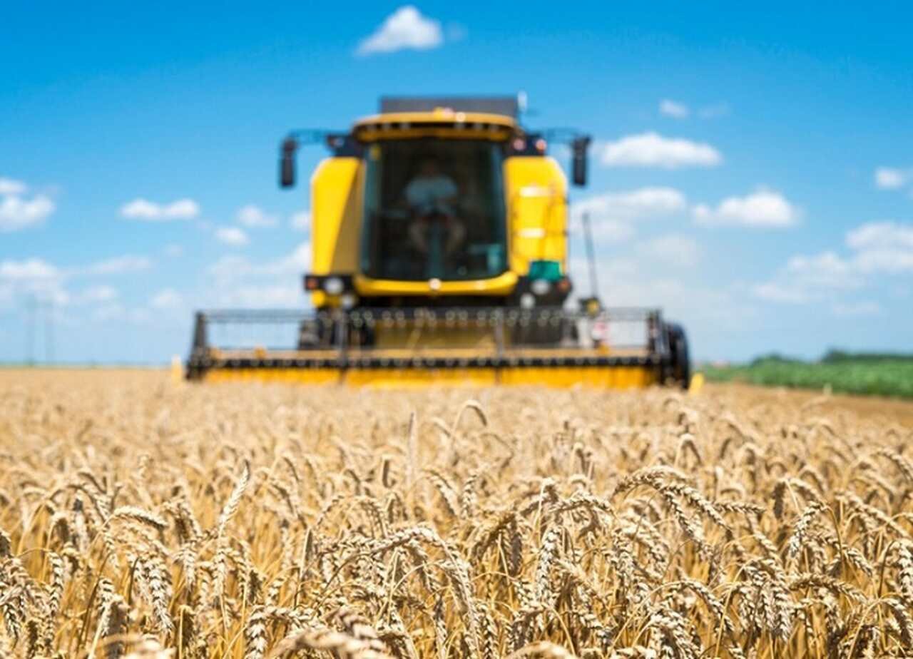 A pesquisa em melhoramento genético de sementes e a adoção de tecnologias de cultivo são fundamentais para alcançar maior qualidade e maior produtividade nas lavouras nacionais.