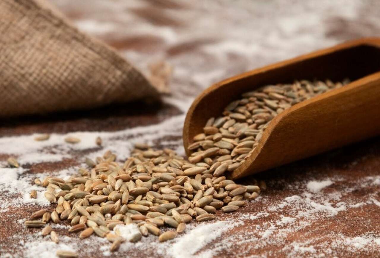 O grão de trigo também é um excelente fornecedor de energia para o corpo humano, sendo uma escolha popular entre aqueles que buscam uma alimentação balanceada e saudável.