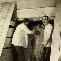 Tutankamon: Descoberta de tumba do faraó menino desencadeou mortes sucessivas - Harry Burton wikimedia commons