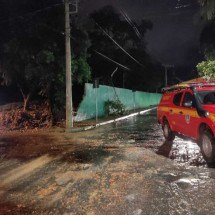 Chuva alaga casas, derruba árvores e deixa desalojados no Norte de Minas - CBMMG
