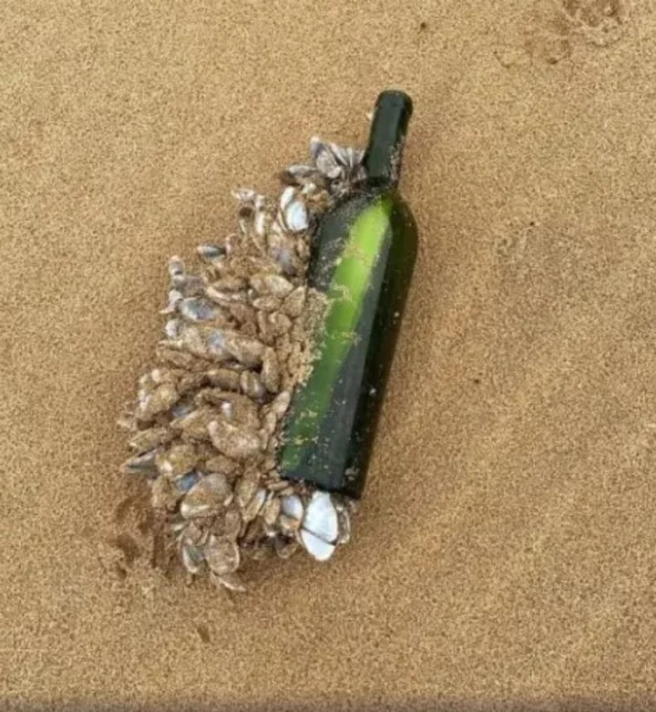 Recentemente, uma garrafa atirada ao mar no Brasil foi encontrada em uma praia australiana. O autor da mensagem identificava-se como Joe Johnson e dizia que o item foi atirado no Oceano Atlântico em novembro de 2008. Ele pedia que o responsável por achar o bilhete fizesse a devolução relatando onde o encontrou. Para isso, oferecia 20 dólares (R$ 118 na cotação atual). 
