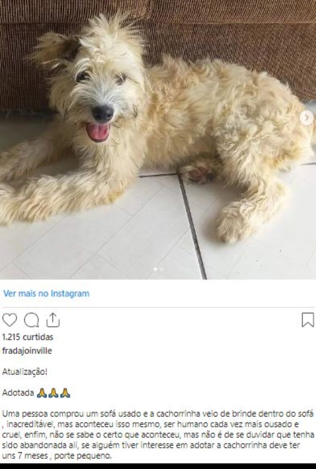 A Frada atualizou então a mensagem dizendo que a cachorrinha foi adotada . E ainda botou uns emojis de mãos em prece.