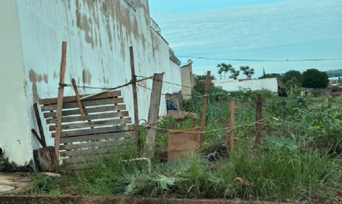 Idoso de 77 anos é preso estuprando cadela em Lagoa Formosa -  (crédito: DivulgaÃ§Ã£o/PMMG)