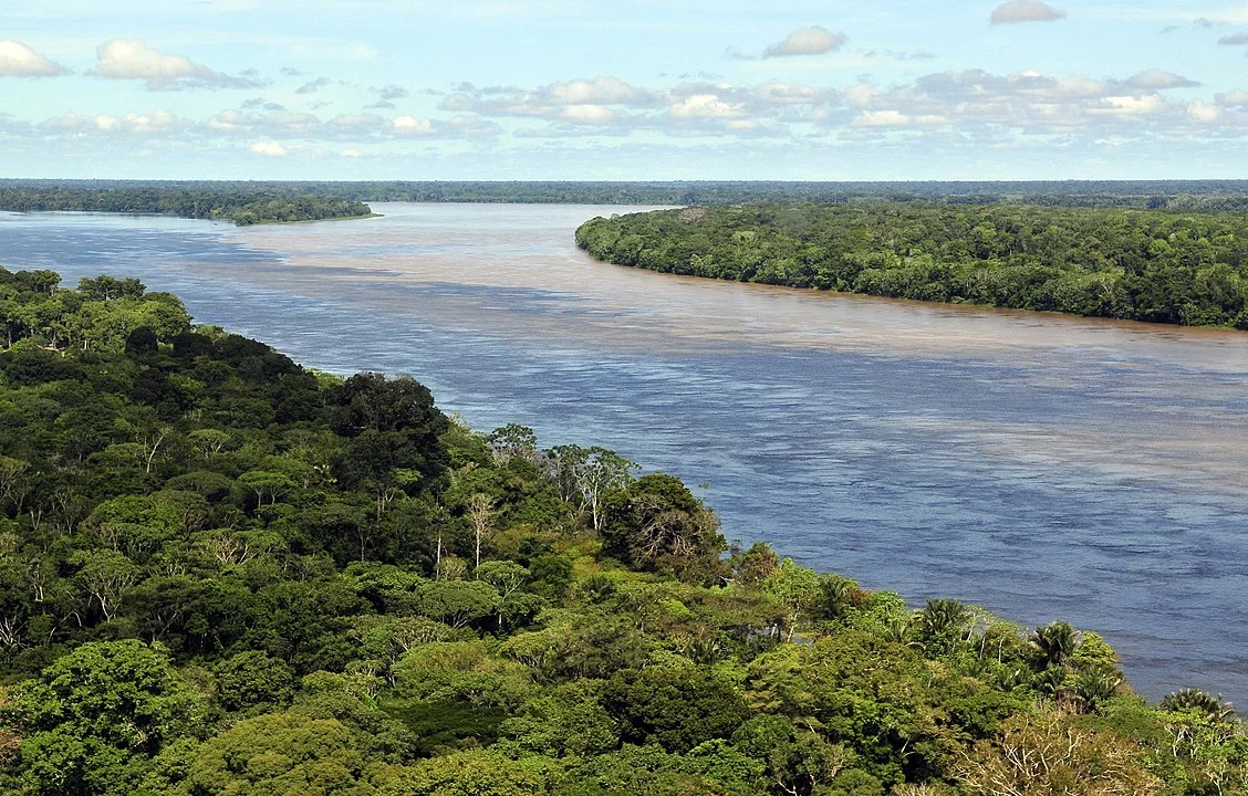 Cerca de 20% dos recursos hÃ­dricos do Brasil estÃ£o na floresta, que briga mais de 30 mil espÃ©cies de plantas, 1,8 mil de peixes continentais, 1,3 mil de aves, 311 de mamÃ­feros e 163 de anfÃ­bios.