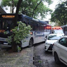 BH: ônibus perde o freio, bate em árvore e derruba poste na Afonso Pena - Gladyston Rodrigues/EM/D.A. Press