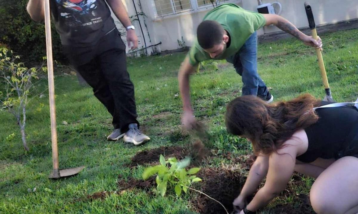 Alunos fizeram plantio de mudas de árvore em local onde cachorrinha que morreu atropelada dormia no campus-sede da Unimontes -  (crédito: redes sociais/divulgação)