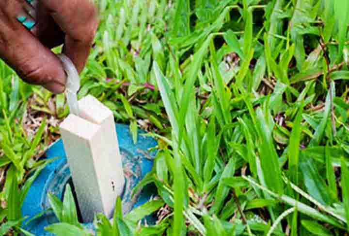 Outra forma é usando iscas com alimento misturado com substâncias tóxicas. As operárias levam o veneno de volta à colônia, contaminando outros cupins, incluindo a rainha.