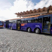 MG: primeiros 66 dos 850 novos ônibus metropolitanos são entregues - Cristiano Machado/Imprensa MG
