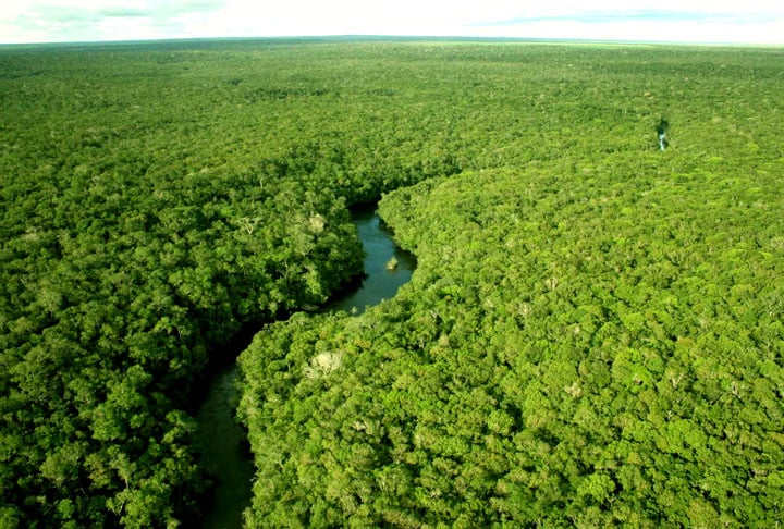 De acordo com o estudo, as microexplosões atmosféricas estão se tornando mais frequentes na Amazônia nos últimos anos.