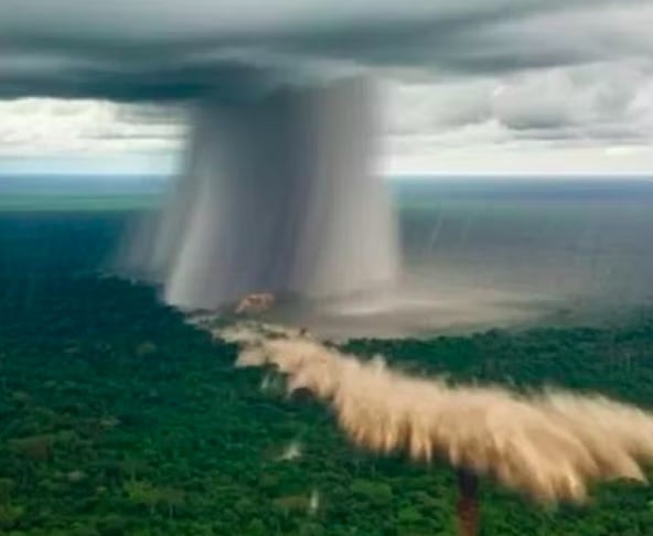 O microburst, também chamado de microexplosão atmosférica, é um fenômeno caracterizado por uma corrente de vento extremamente forte que se desprende de uma nuvem de tempestade e desce com grande intensidade em direção ao solo.