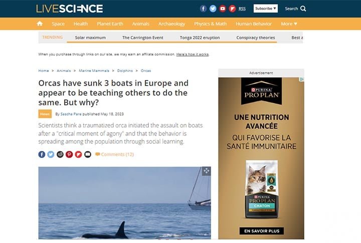 O site Live Science afirmou que esses ataques são dirigidos principalmente a barcos à vela e seguem um padrão: as orcas se aproximam da popa para atingir o leme.