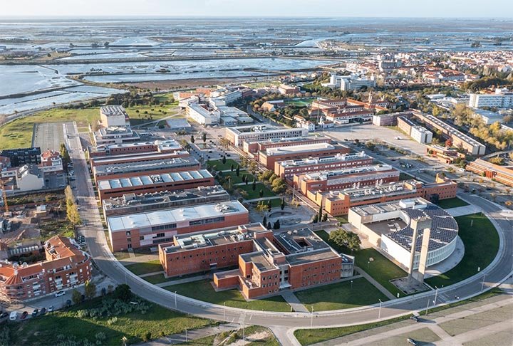 O biólogo Alfredo López Fernandez, da Universidade de Aveiro, divulgou na ocasião que as interações de orcas com pessoas (no caso, as que estão no barco) já ocorriam, mas o fenômeno do ataque a embarcações tem ganhado impulso recentemente.