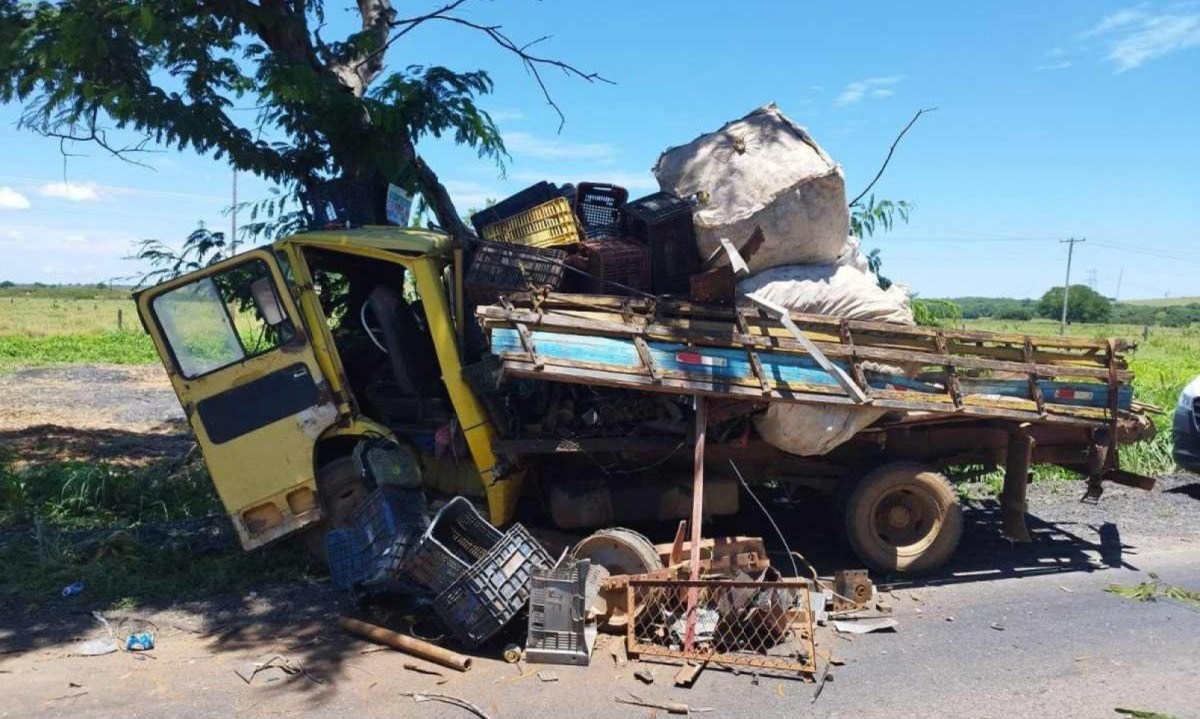 Caminhão bateu de frente em árvore às margens da rodovia MGC-122 -  (crédito: PMRv/Divulgação)