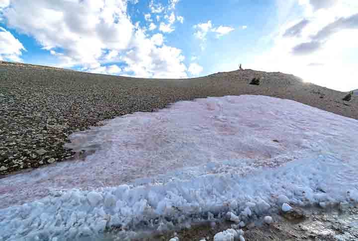 Assim, o ciclo de derretimento prossegue, pois com a neve liquefeita as algas se reproduzem e derretem mais neve, intensificando o fenômeno. 