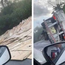 Caminhão carregado com madeira tomba e fecha faixa da BR-381 - Redes Sociais