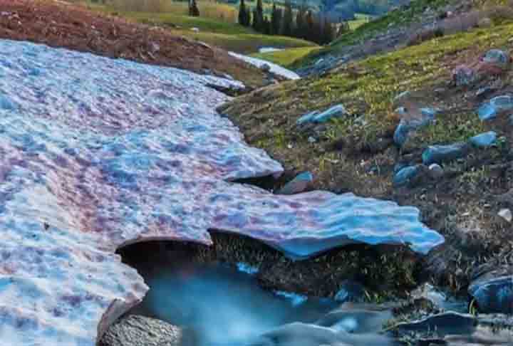 Entre a primavera e o verão no hemisfério norte do planeta, a neve pode aparecer em tom rosado, avermelhado ou até mesmo com outra coloração em algumas regiões montanhosas. 