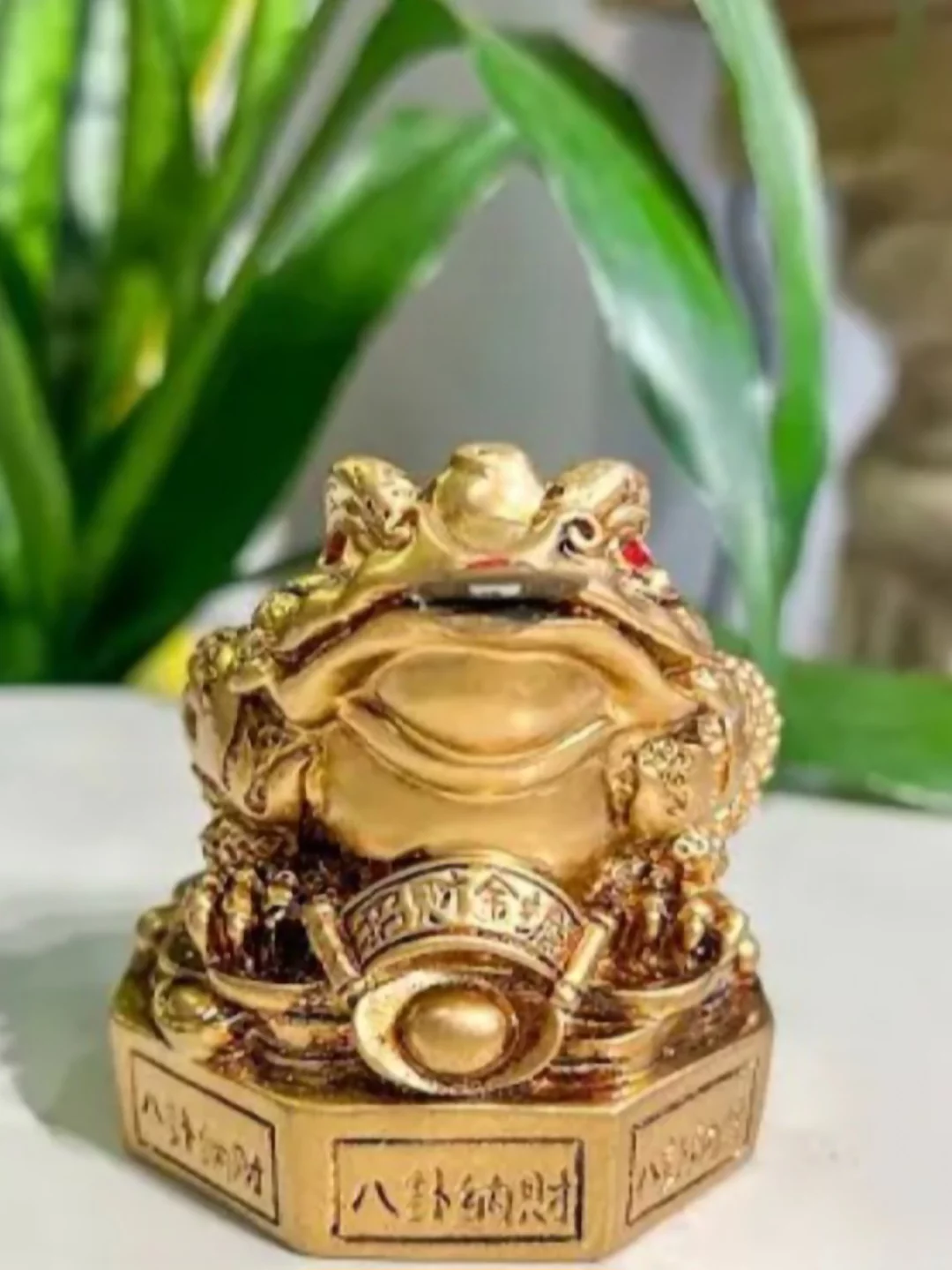 Sapo da fortuna - É um amuleto chinês que simboliza prosperidade, frequentemente feito de cerâmica, metal ou pedra. Na cultura chinesa, aparece com uma moeda na boca para indicar prosperidade financeira. Colocá-lo perto da entrada da casa ou do escritório é um atrativo de boa sorte e fortuna.