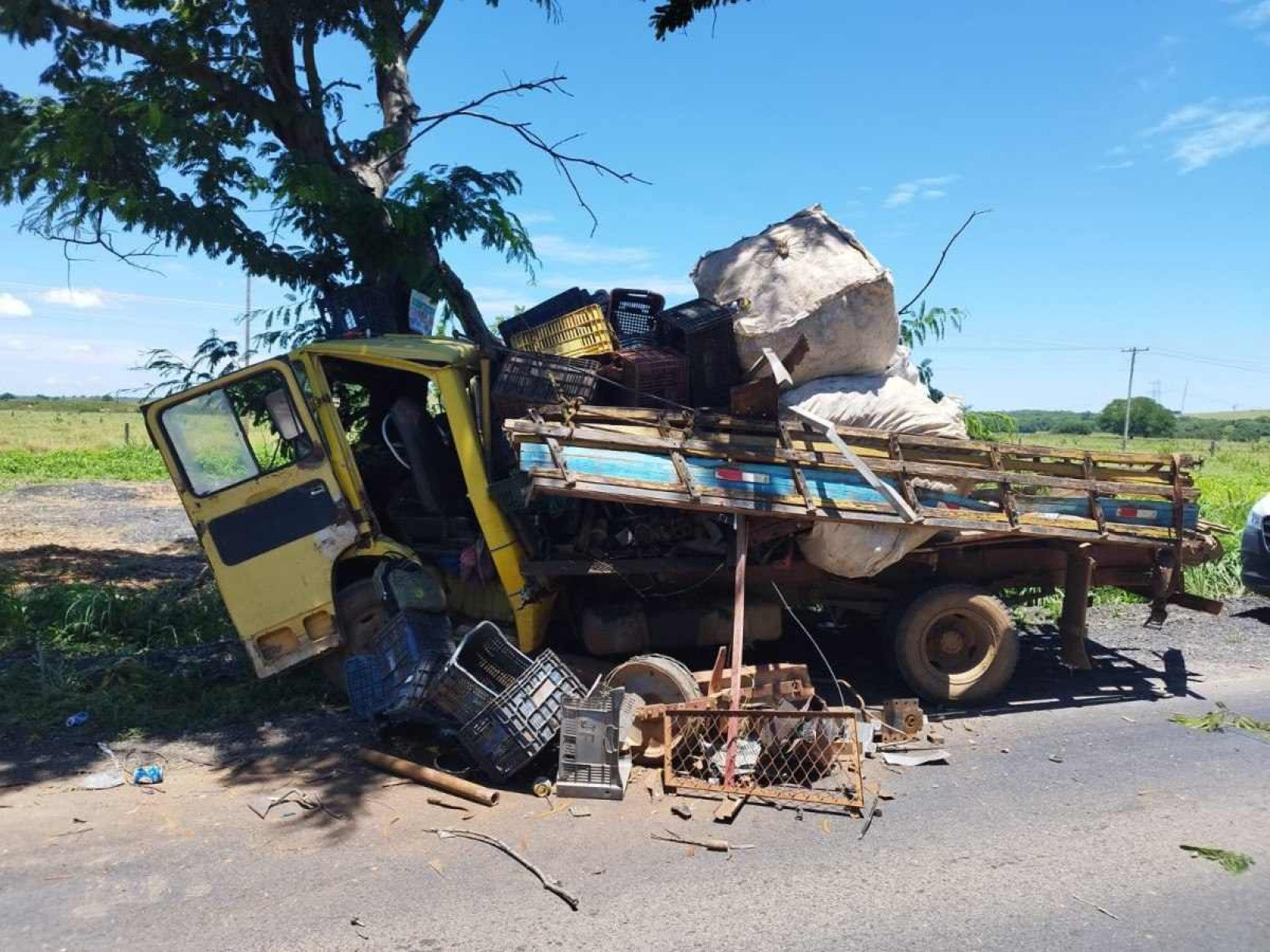 MG: caminhão bate de frente em árvore e idoso morre