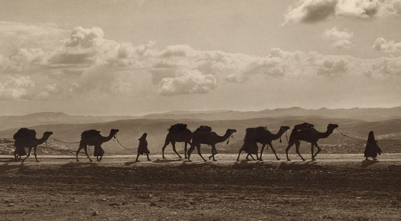 Os camelos sÃ£o essenciais para as comunidades que vivem em desertos. Antes da descoberta do petrÃ³leo, eles eram fundamentais para a sobrevivÃªncia, transportando pessoas e mercadorias atravÃ©s de vastas distÃ¢ncias, alÃ©m de fornecerem carne e leite.
