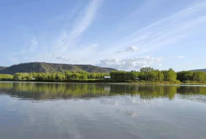 Essas nascentes d'água, que oferecem um elemento essencial para a sobrevivência de humanos, animais e plantas, ainda ajudam na regulação do clima e preservação da biodiversidade. 