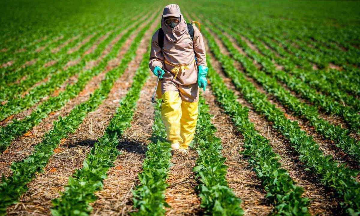 Ao usar produtos contrabandeados ou adulterados, o agricultoR se coloca em risco, além de poder prejudicar funcionários, consumidores e o meio ambiente -  (crédito: Wenderson Araujo/Trilux/CNA)