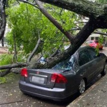 Chuva em Minas: 76 cidades estão em alerta de ‘perigo potencial’ - Reprodução/TV Globo