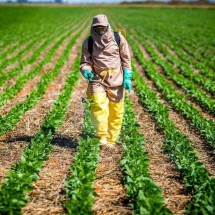 Golpe no agronegócio: setor sofre com o roubo de defensivos agrícolas  - Wenderson Araujo/Trilux/CNA