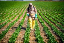 Golpe no agronegócio: setor sofre com o roubo de defensivos agrícolas 