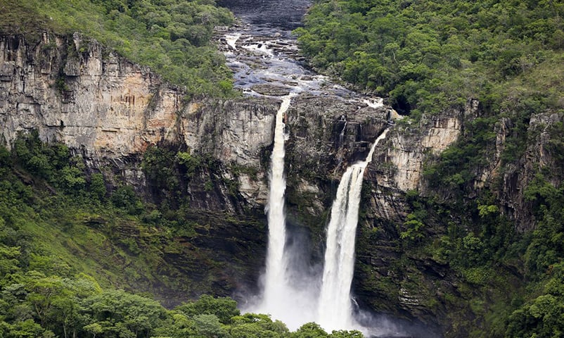 A Chapada dos Veadeiros abriga espécies e formações vegetais únicas, além de rochas, nascentes, cachoeiras e cursos d’água.