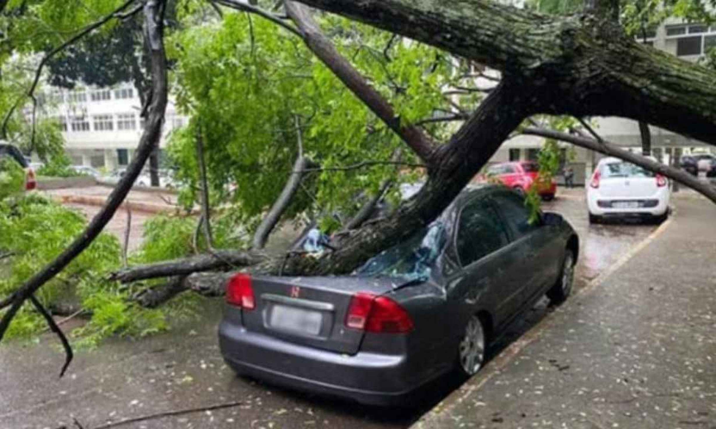 Chuva em Minas: 76 cidades estão em alerta de ‘perigo potencial’