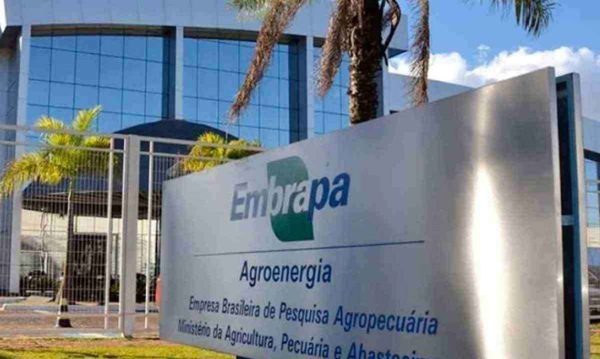 

Para funcionários da Embrapa não há estudos que comprovem o aumento da produtividade na jornada cumprida 100% no escritório -  (crédito: EMBRAPA/DIVULGAÇÃO)