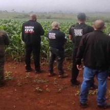 Polícia investiga crimes ambientais em Minas - PCMG