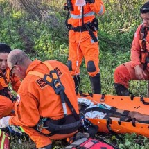 Bombeiros resgatam idoso desaparecido em mata há sete dias em MG - CBMMG