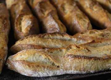 A experiência com as crianças da Emilia-Romanha me ensinou que a educação alimentar é uma ferramenta poderosa -  (crédito: Lucas Pederneiras/Divulgação)