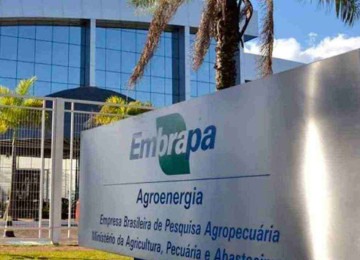 

Para funcionários da Embrapa não há estudos que comprovem o aumento da produtividade na jornada cumprida 100% no escritório -  (crédito: EMBRAPA/DIVULGAÇÃO)