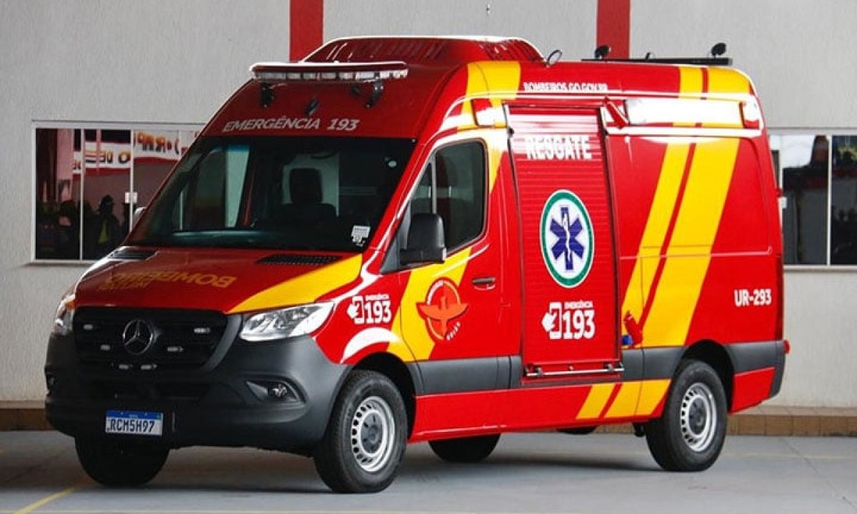 O Corpo de Bombeiros foi acionado para realizar o resgate -  (crédito: Corpo de Bombeiros/Divulga&ccedil;&atilde;o)