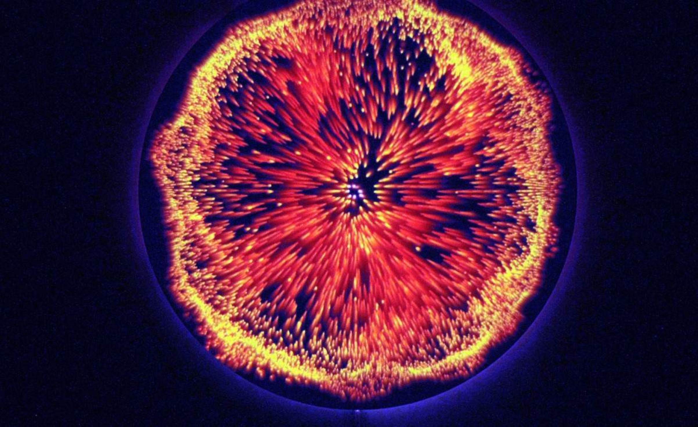 Mostra imersiva de arte digital 