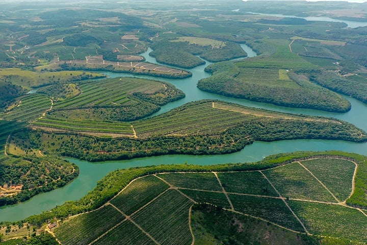 Atualmente, a empresa mantém uma fazenda em Linhares (ES) com cerca de 50 mil pés de cacau.