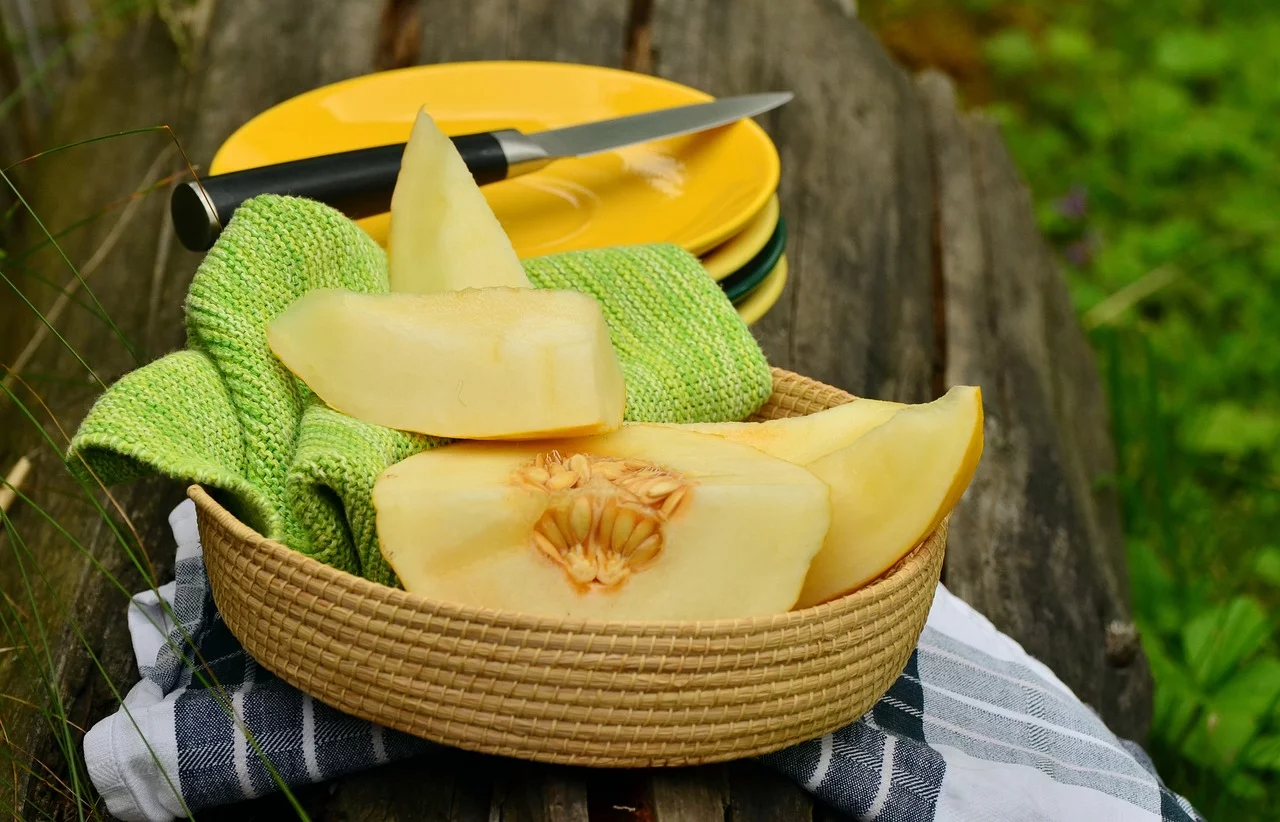 Graças a esta importante variedade e aos cultivos em estufa podemos ter acesso a essa fruta durante todo o ano, embora sua temporada real se estenda desde maio até setembro. 