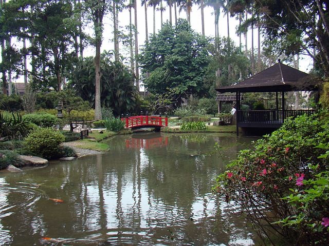 O jardim foi fundado por D. João, então príncipe regente de Portugal, em 1808. Ainda há atrações como as estufas de orquídeas, bromélias, samambaias e plantas insetívoras, além de coleções temáticas como o Jardim Japonês (foto), planejado após a doação de 65 itens típicos do país asiático. 