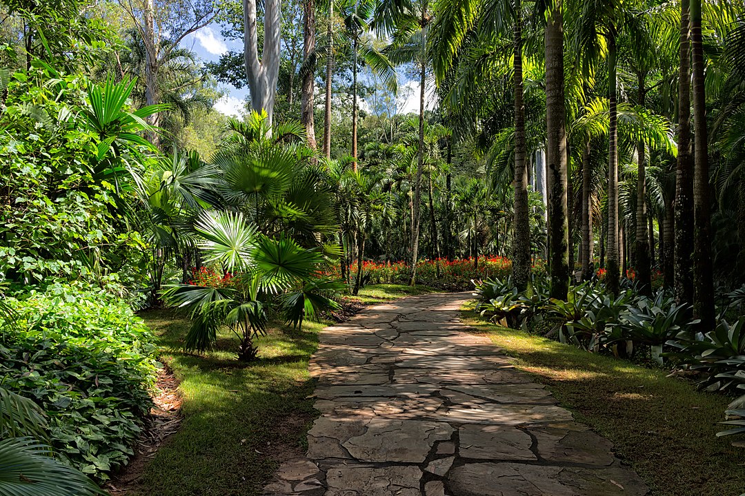 O local tem 4,3 mil espécies nativas e estrangeiras, de diversas partes do mundo, uma das maiores coleções do país. Assim como pesquisa e fiscalização do patrimônio da entidade. Ao todo, são mais de 140 hectares disponíveis para visitação. 