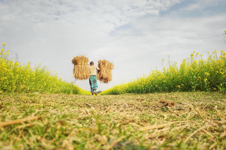 Outra medida possível seria o incentivo à mudança de práticas agrícolas e industriais que aumentem a poluição do ar e da água. 