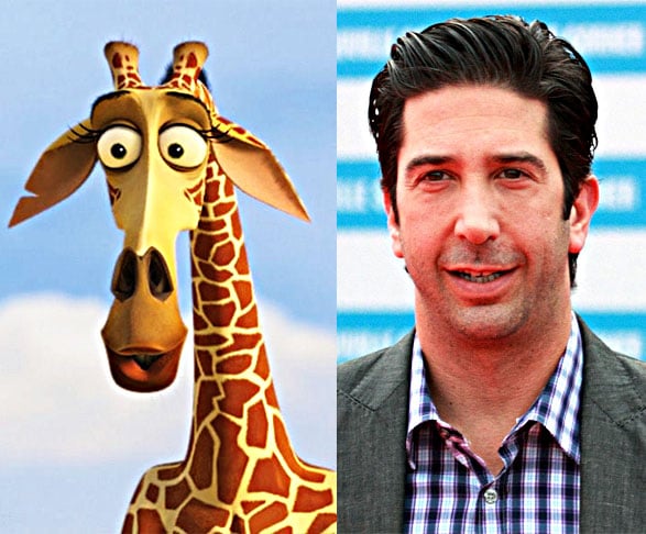 Quem não se lembra do carismático Melman, do filme Madagascar? A girafa de circo ficou eternizada na franquia na voz do ator David Schwimmer, o Ross, da série Frieds.