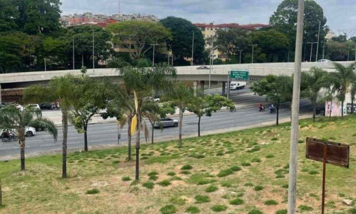 147 mudas de árvores vão ser plantadas na Avenida Antônio Carlos nesta quinta-feira (12/12) -  (crédito: Divulgação/PBH)