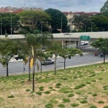 Corredor verde da Antônio Carlos será concluído no dia do aniversário de BH - Divulgação/PBH